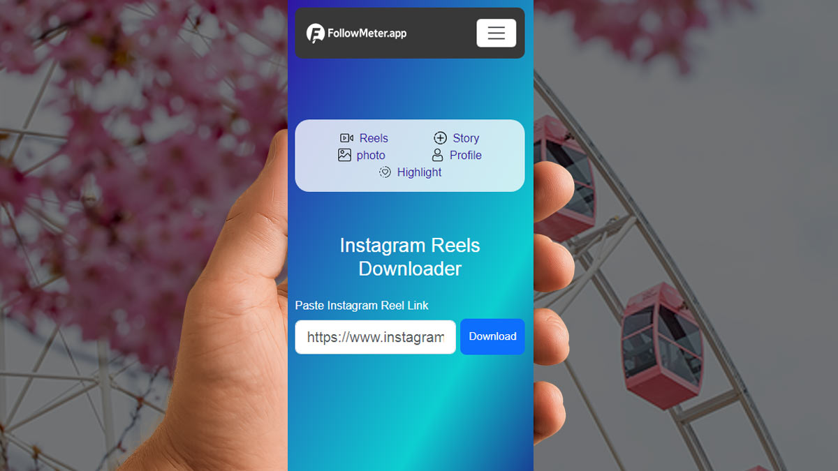 Instagram Reels Downloader