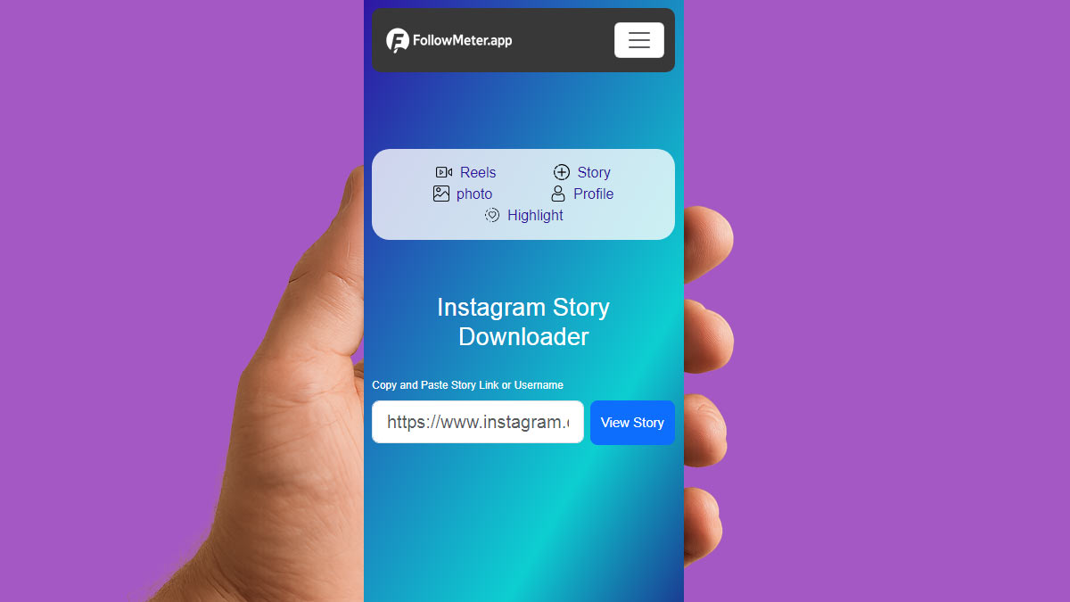 Instagram Story Downloader