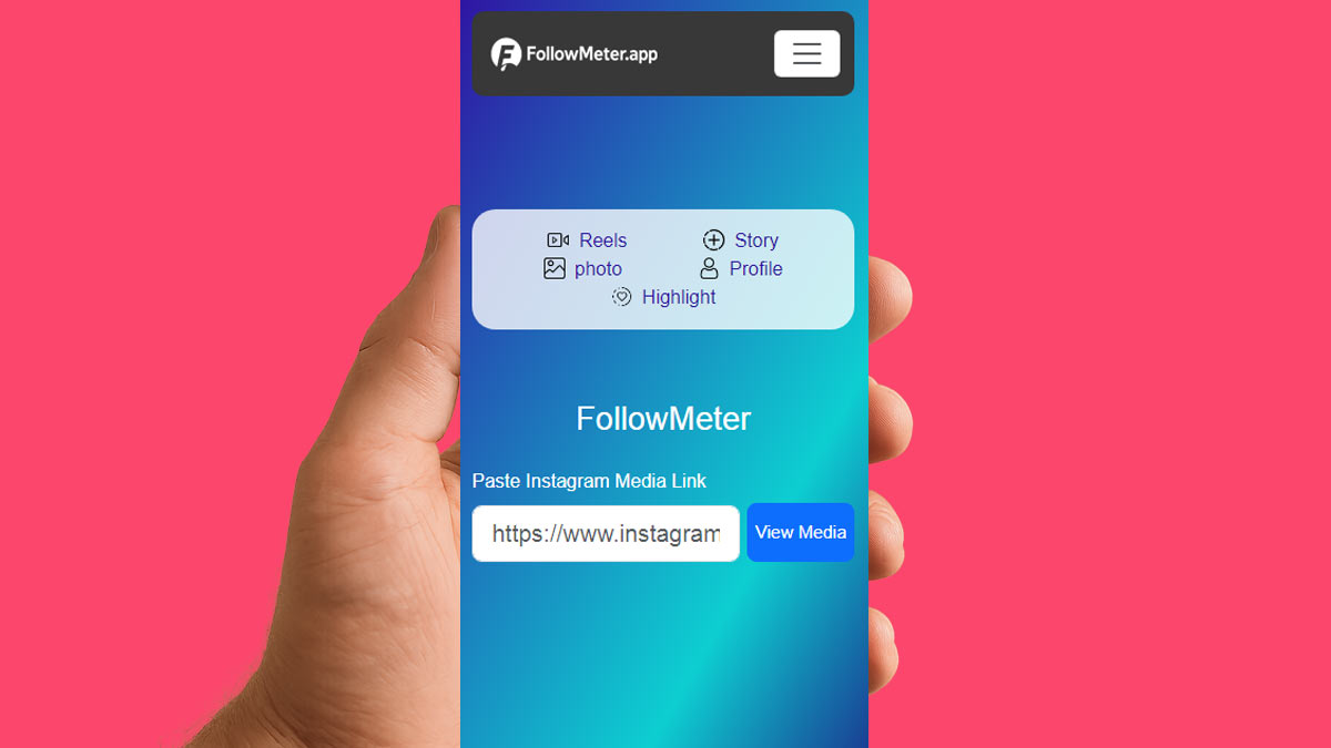 FollowMeter Online Instagram Downloader
